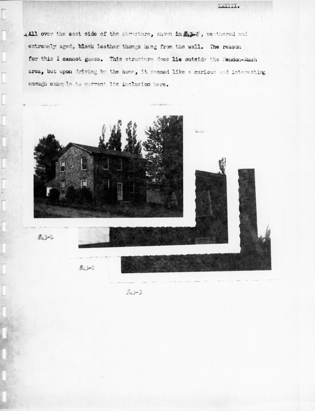 Wood Survey P33 19550618